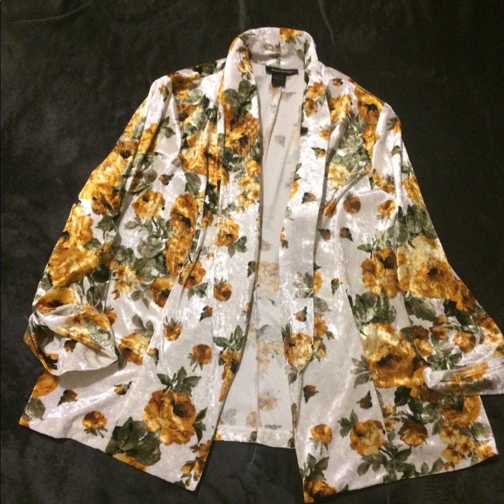 Velvet Boyfriend Blazer NWOT